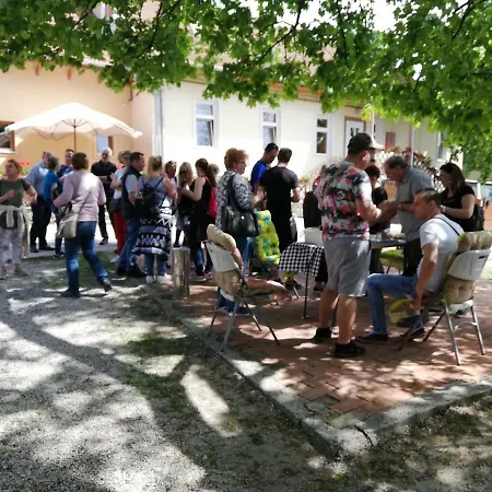 Olze Panzio Erdőbénye